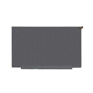 DZ1702 165Hz IPS Display (2560x1440) matt slimline